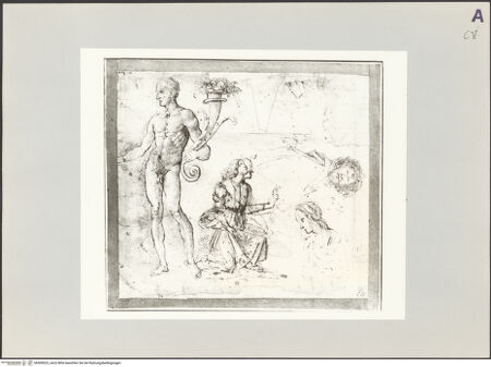 Vorderseite von bh509623_recto