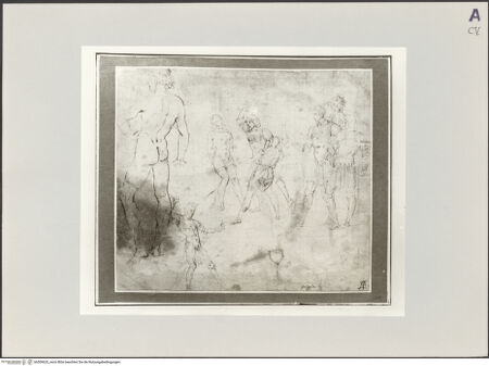 Vorderseite von bh509625_recto