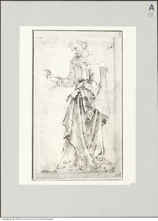 Vorderseite von bh509626_recto