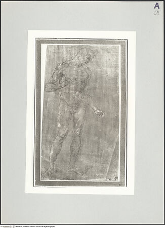 Vorderseite von bh509634_recto