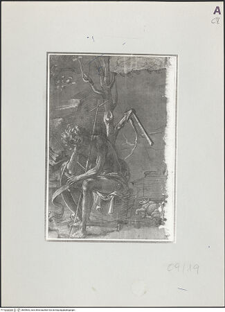 Vorderseite von bh509642_recto