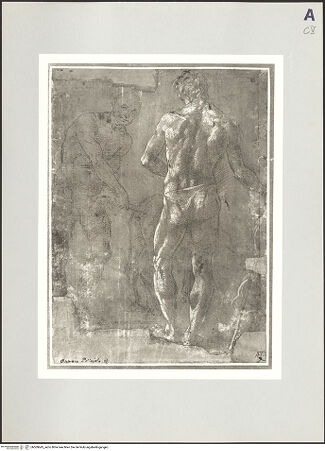 Vorderseite von bh509643_recto