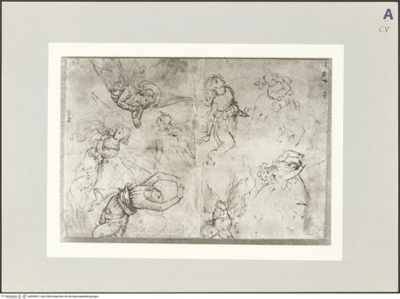 Vorderseite von bh509651_recto