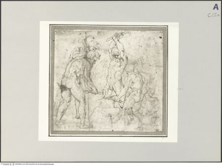 Vorderseite von bh509668_recto