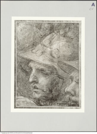 Vorderseite von bh509669_recto