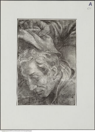 Vorderseite von bh509670_recto