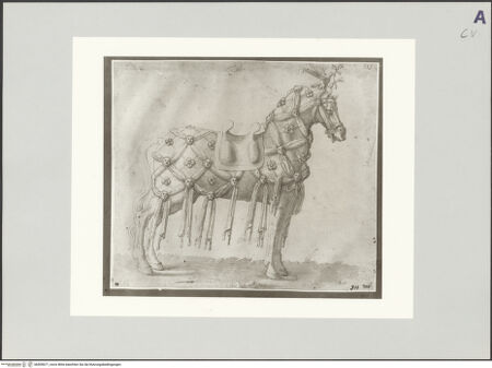 Vorderseite von bh509671_recto