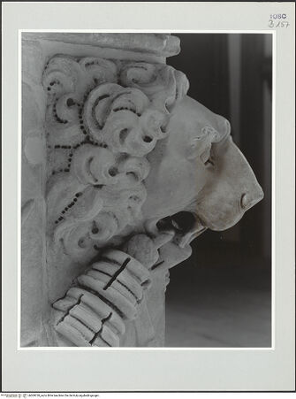 Vorderseite von bh509720_recto