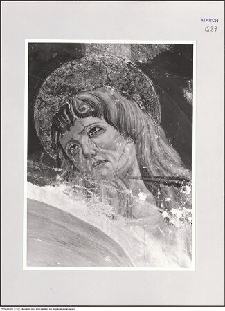 Vorderseite von bh509852_recto