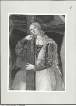 Vorderseite von bh509925_recto