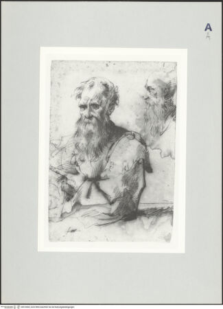 Vorderseite von bh510069_recto