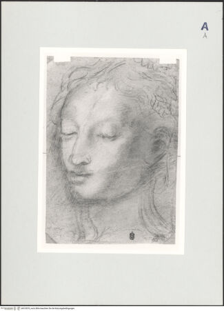 Vorderseite von bh510070_recto