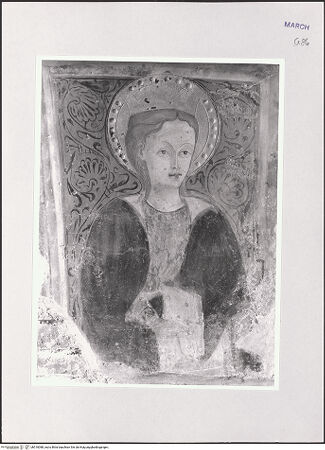 Vorderseite von bh510088_recto