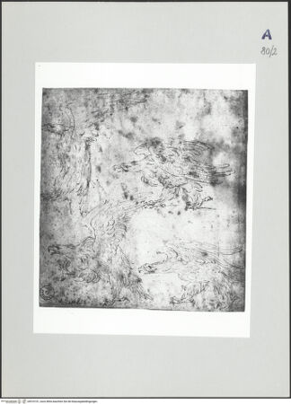 Vorderseite von bh510151_recto