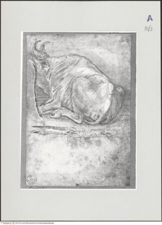 Vorderseite von bh510155_recto