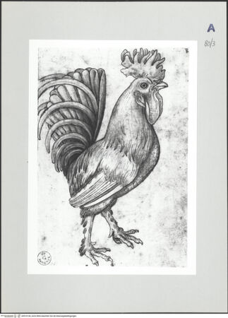 Vorderseite von bh510156_recto