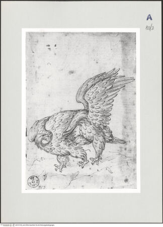 Vorderseite von bh510158_recto