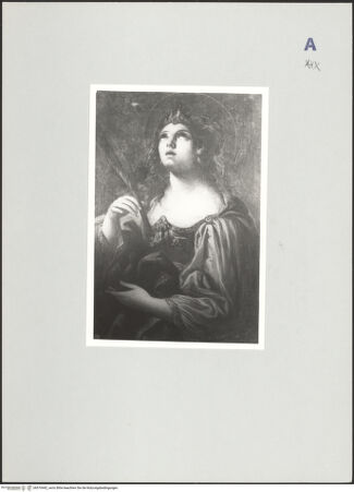 Vorderseite von bh510442_recto