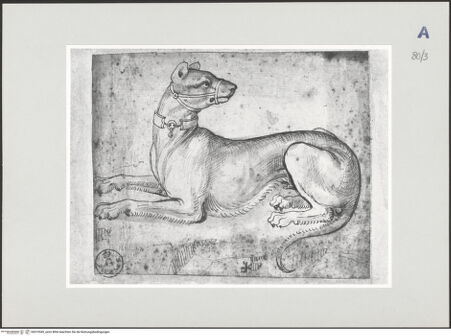 Vorderseite von bh510549_recto