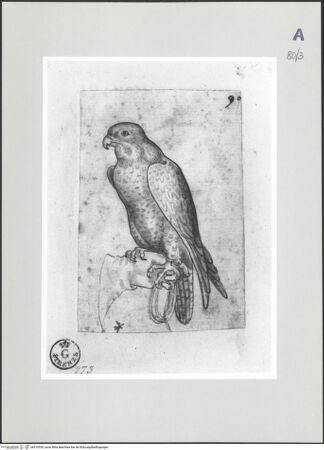 Vorderseite von bh510550_recto