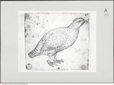 Vorderseite von bh510552_recto