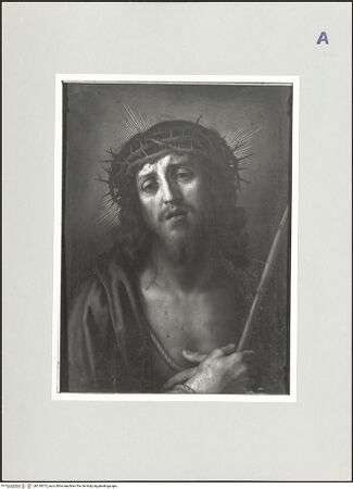 Vorderseite von bh510673_recto