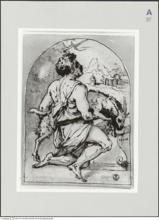 Vorderseite von bh510773_recto