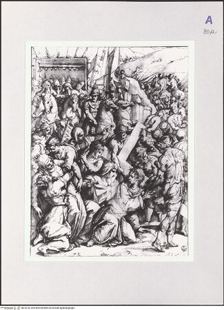 Vorderseite von bh510796_recto