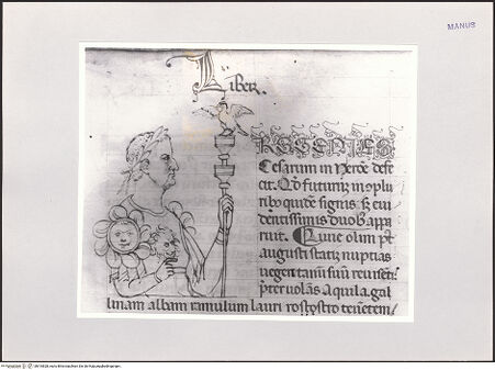 Vorderseite von bh510828_recto