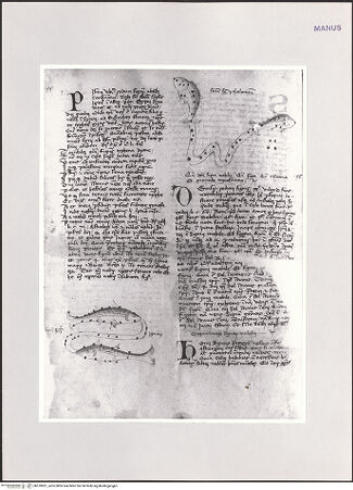 Vorderseite von bh510831_recto