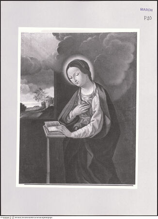 Vorderseite von bh510836_recto