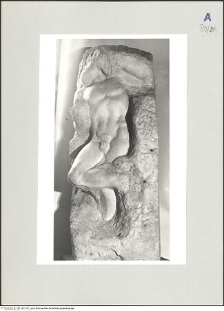 Vorderseite von bh511021_recto