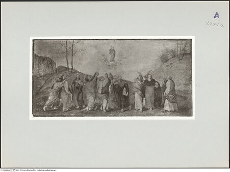 Vorderseite von bh511023_recto