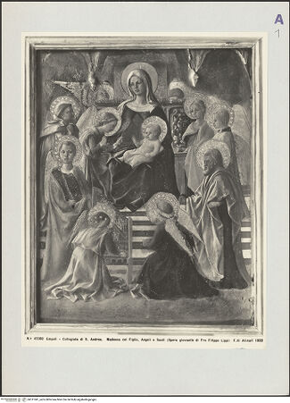 Vorderseite von Alinari [https://www.deutsche-digitale-bibliothek.de/content/lizenzen/rv-ez/] Madonna mit Engeln - , bh511041_recto. Foto.