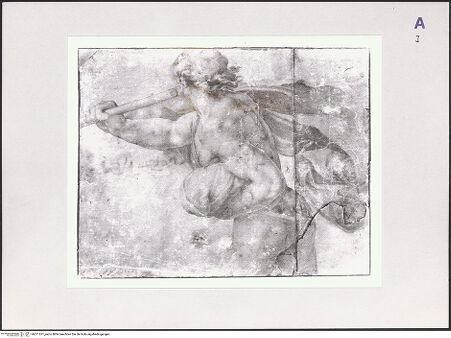 Vorderseite von bh511071_recto