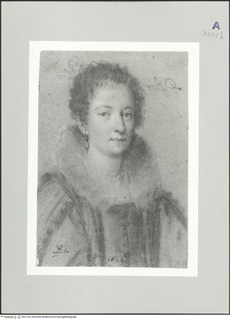 Vorderseite von bh511253_recto