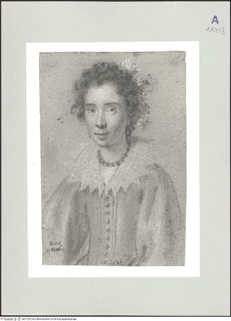 Vorderseite von bh511255_recto