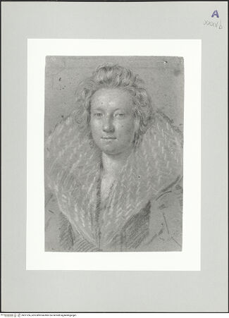 Vorderseite von bh511256_recto