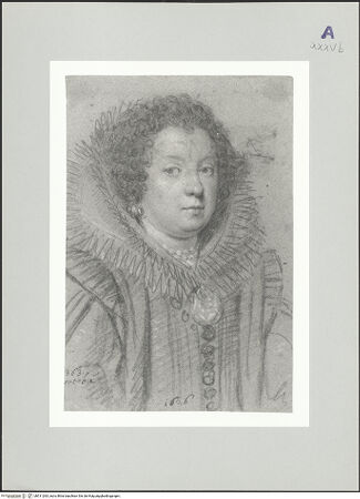 Vorderseite von bh511263_recto