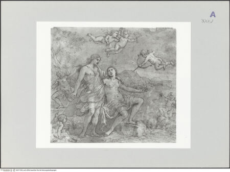 Vorderseite von bh511265_recto