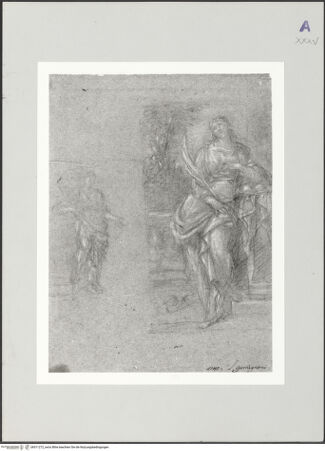 Vorderseite von bh511272_recto