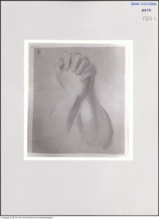 Vorderseite von bh511325_recto