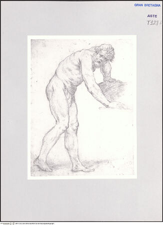 Vorderseite von bh511333_recto