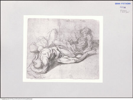 Vorderseite von bh511355_recto