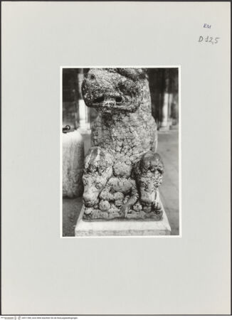 Vorderseite von bh511384_recto