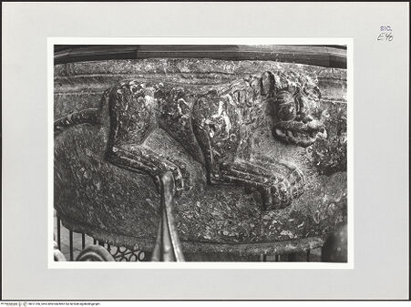 Vorderseite von Bibliotheca Hertziana [https://www.deutsche-digitale-bibliothek.de/content/lizenzen/rv-fz/] Taufbrunnen - Ausschnitt, Löwe, bh511396_recto. Foto: Schwarz, Heinrich Mathias.