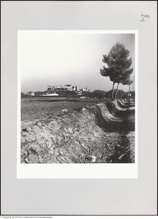 Vorderseite von bh511399_recto