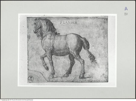 Vorderseite von bh511427_recto