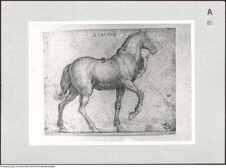 Vorderseite von bh511428_recto