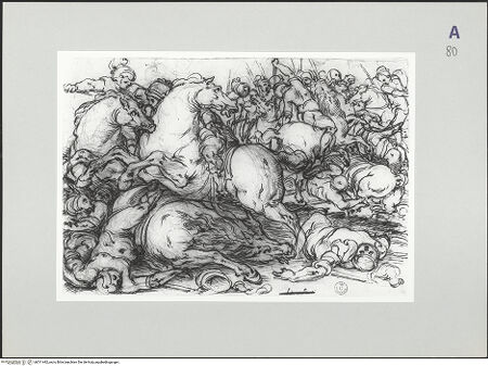 Vorderseite von bh511442_recto